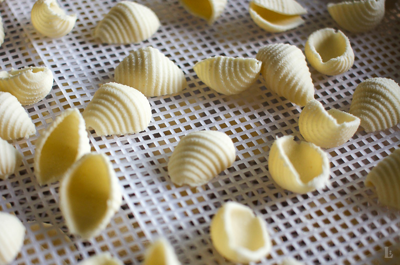 Hausgemachter italienischer Pastateig – einfaches Rezept mit Semola rimacinata und ohne Ei