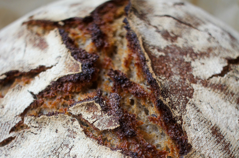 Saftiges Roggenmischbrot mit Sauerteig, Brotgewürzen und kleiner Hefemenge. Einfach im Bräter gebacken für eine kräftige Kruste und aromatische Krume.